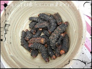 chenilles comestibles