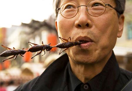 Homme qui mange une brochette d'insectes comestibles