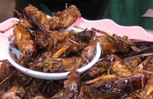 grillons-grillés