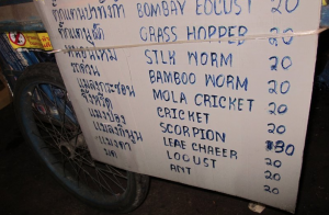 insectes au menu