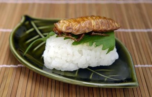 recette d'insectes