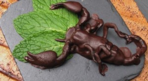 scorpion comestible